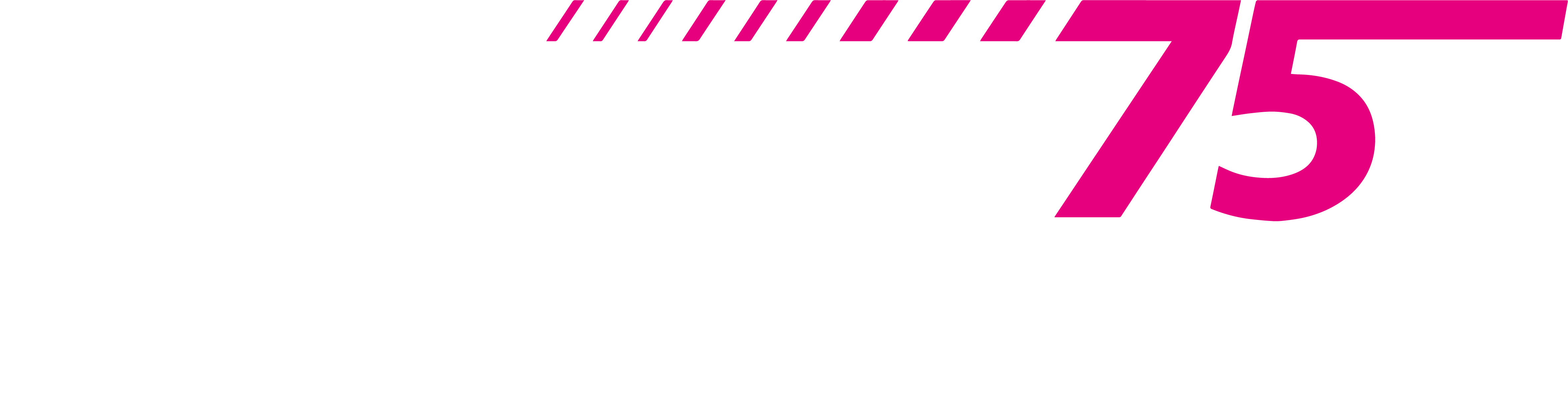 Hairfactory 75 Logo